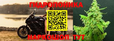 гашик Балашиха