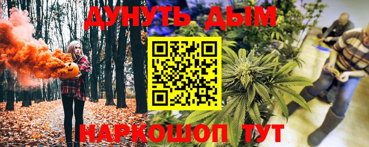 Бошки Шишки планчик Ефремов